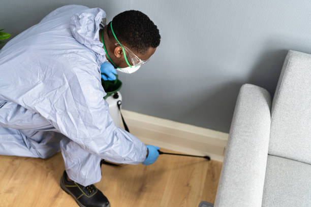 Indoor Pest Control in Litchfield Park, AZ